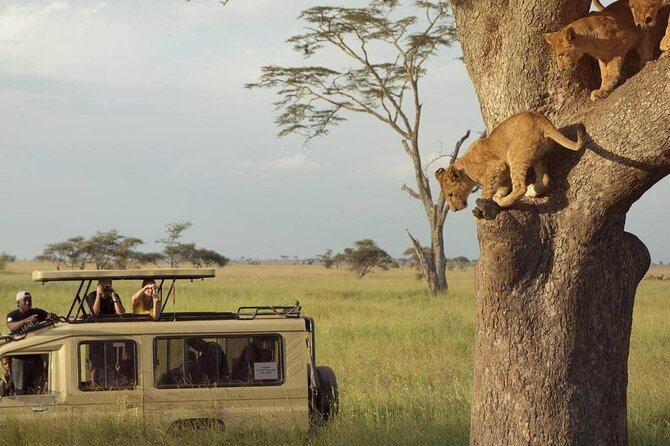 3 Days Safari to Serengeti National Park & Ngorongoro Crater in Tanzania - Why this safari works in only three days