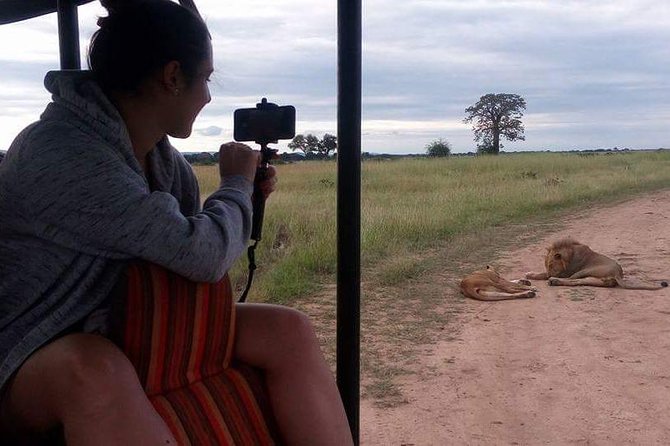 3 Days Serengeti & Ngorongoro Tour - Guides can shape the whole safari