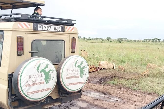 3 Days Small Group Safari to Serengeti NP and Ngorongoro Crater Tour in Tanzania - Should you book it?