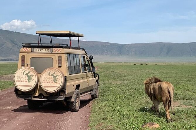 3 Days Small Group Safari to Serengeti NP and Ngorongoro Crater Tour in Tanzania - Day two: morning wildlife, then Simba Campsite