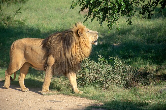 3 Days Tanzania Budget Group Joining Safari Tour - Key points to know before you book