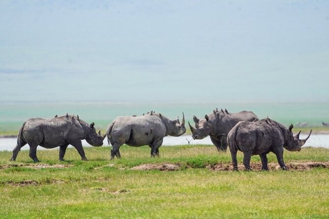 3 Days Tanzania Budget Group Joining Safari Tour - What the $962 price really covers