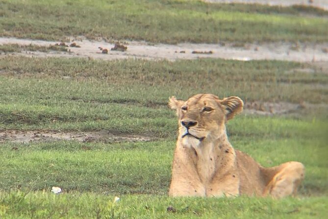 3 Days Tanzania Safari - Who should book this three-day route