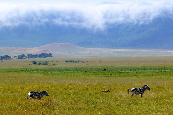 3 Days Tanzania Safari: Tarangire, Manyara and Ngorongoro Crater - Day two: Lake Manyara, flamingos, and Rift Valley views