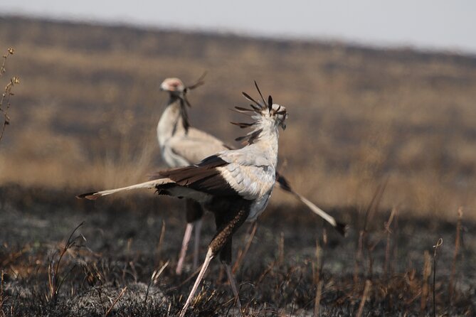 3 Days Tarangire, Ngorongoro & Lake Manyara Group Camping Safari - Should you book it?