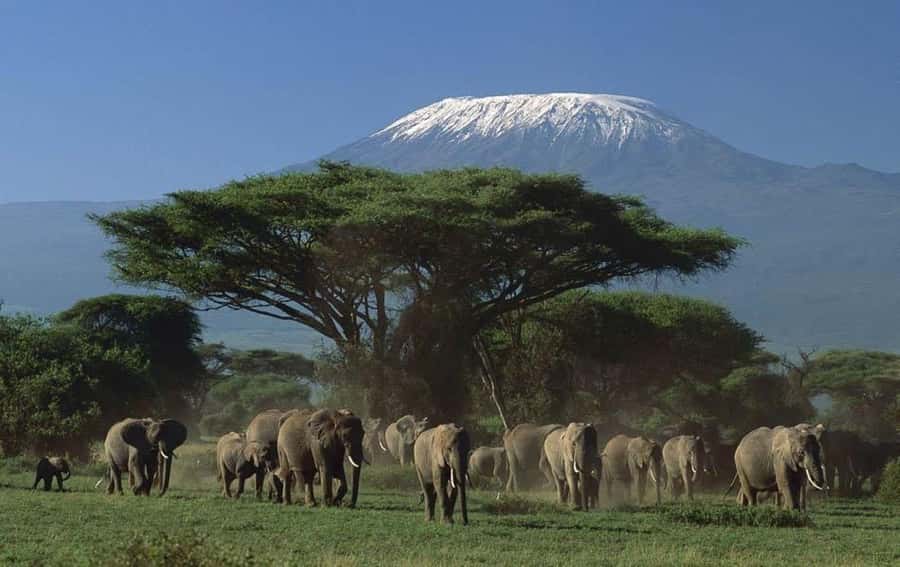 3 days Tsavo East and Amboseli safari from Diani/Mombasa - Tsavo East begins at Buchuma Gate