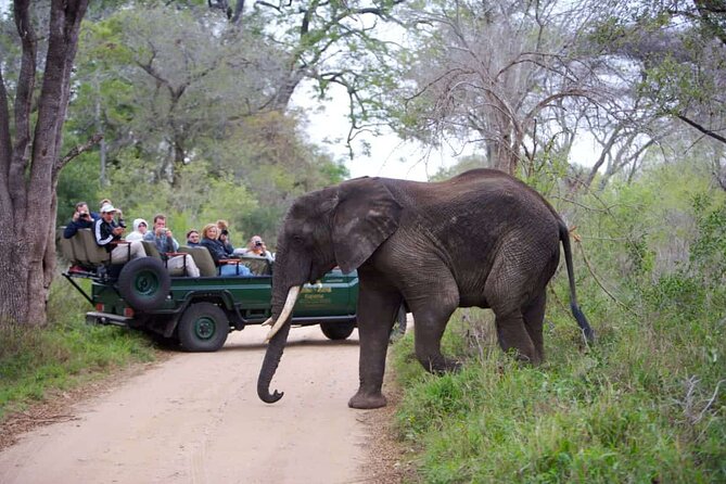 3-Days Ultra Luxury Safari at Kapama River Lodge - Arriving at Kapama River Lodge