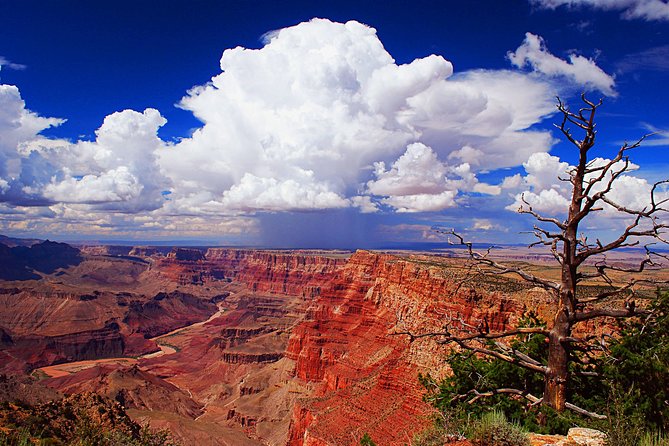 3 Hour Back-Road Safari to Grand Canyon with Entrance Gate By-Pass at 9:30 am - Bright Angel Trail and the Kolb brothers