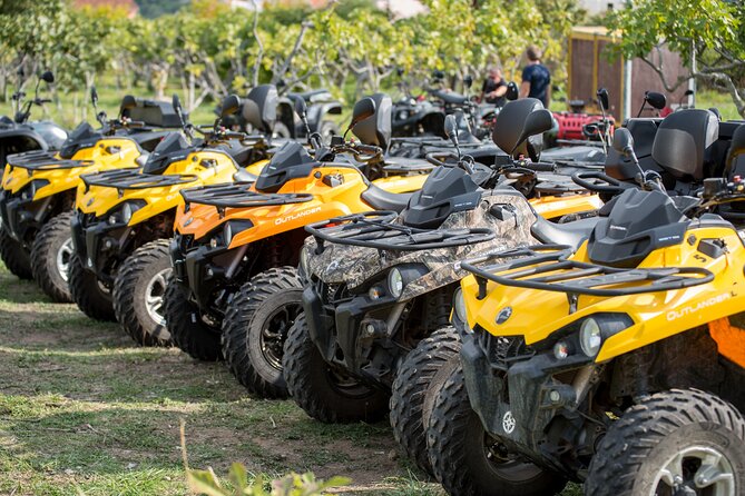 3-Hour Dubrovnik Countryside ATV/Quad Safari Adventure Tour - Who should book this adventure?