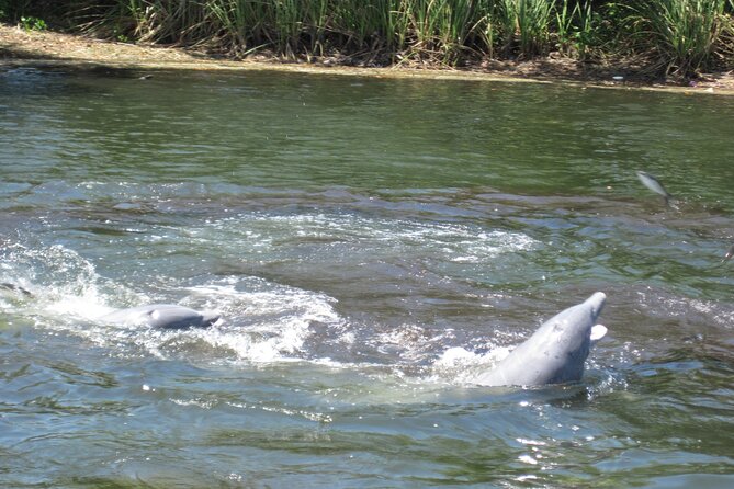 3 Hour See Crystal River Wildlife Safari Boat Cruise - Why the six-person limit matters