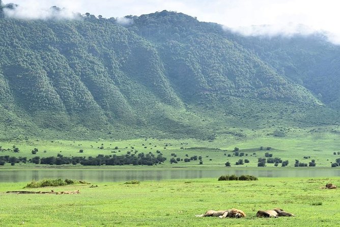 3days Serengeti National park and Ngorongoro Crater Tanzania Safari - Why this three-day route works