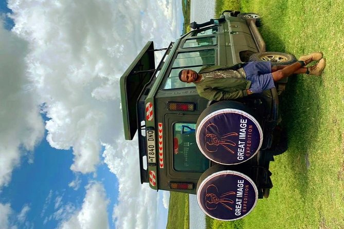 3days Serengeti National park and Ngorongoro Crater Tanzania Safari - Day 2: A serious morning in Serengeti