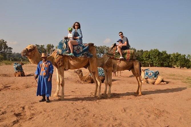 4×4 Jeep Desert Safari Tour with Lunch and Camel Ride - What the small group changes