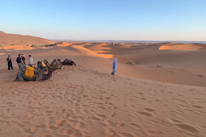 4×4 Jeep Desert Safari Tour with Lunch and Camel Ride - Sidi Rbat’s caves and Atlantic shore