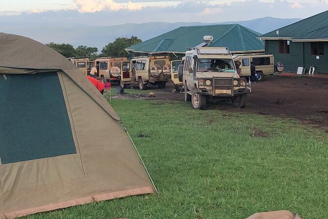 4-Day Budget Tarangire, Serengeti, Ngorongoro Safari Guided Tour - Day 4: Ngorongoro Crater’s concentrated wildlife
