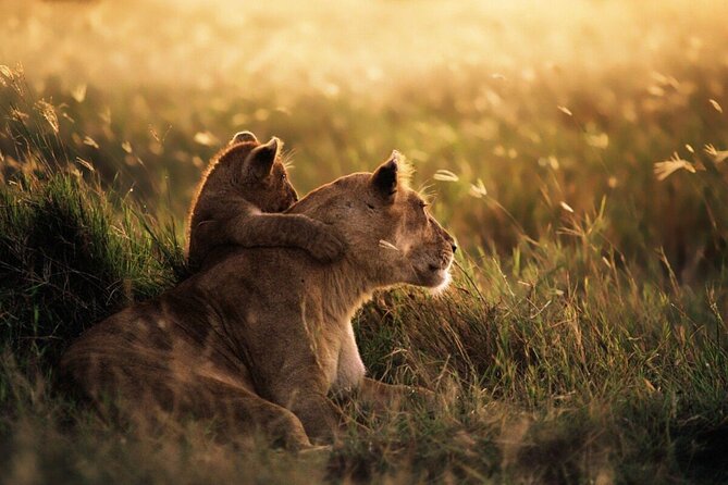 4-Day Budget Tarangire, Serengeti, Ngorongoro Safari Guided Tour - Guides, cooks, and the human side of the trip