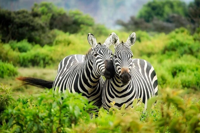 4-Day fascinating Camping Safari in Tanzania - Day four: the Ngorongoro Crater game drive