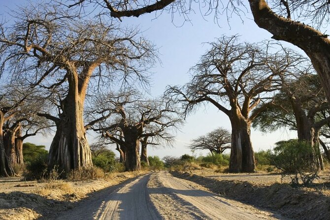 4-Day fascinating Camping Safari in Tanzania - Camping, meals, and what the price really covers