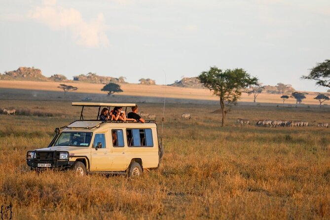 4-Day fascinating Camping Safari in Tanzania - Who should book this four-day safari?