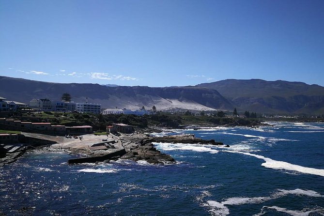 4 Day Garden Route Adventure & Safari - What the guides add to the long drives