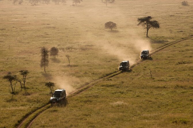 4 Day Great Migration Safari Serengeti & Ngorongoro Crater - Day three: one last Serengeti drive, then toward the crater