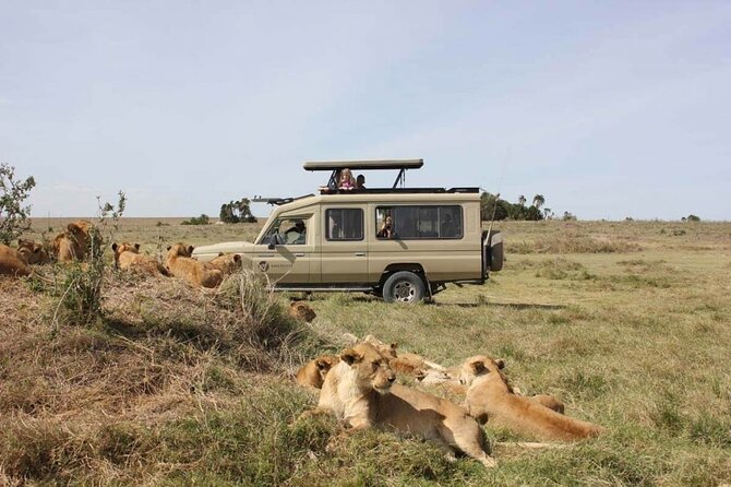 4 Day Great Migration Safari Serengeti & Ngorongoro Crater - What private travel changes