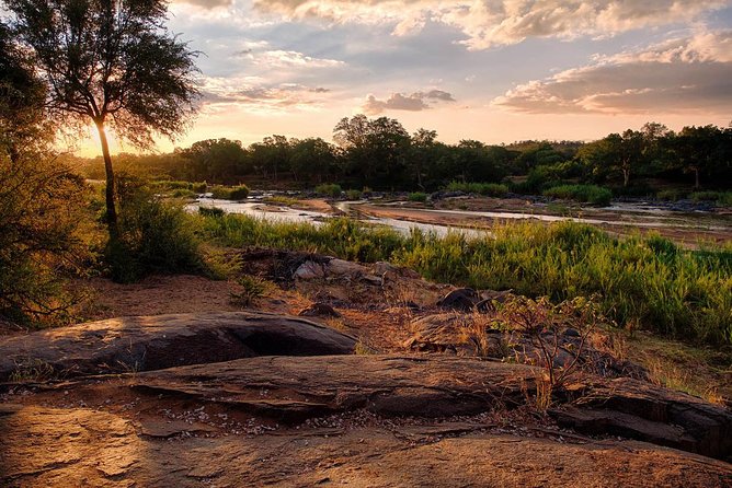 4 Day Lodge and Treehouse Kruger National Park Safari - Comfort, food, and the practical trade-offs