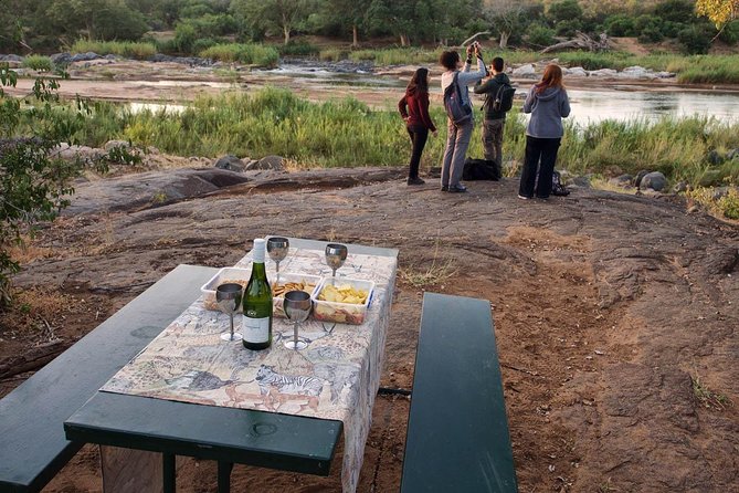 4 Day Lodge and Treehouse Kruger National Park Safari - Should you book it?