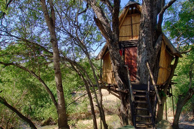 4 Day Lodge and Treehouse Kruger National Park Safari - A full day in Kruger’s open plains