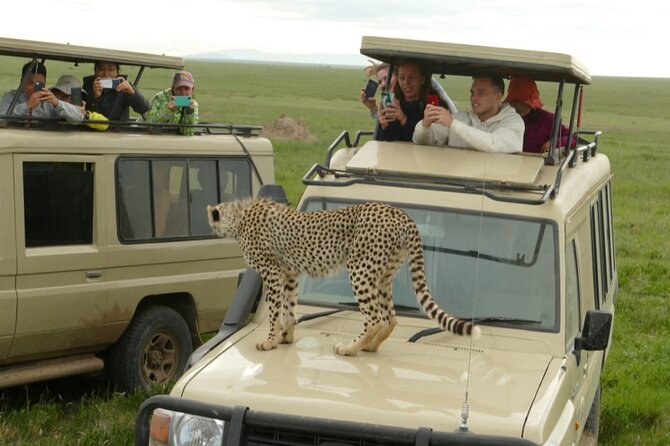 4-Day Lodge Private Tour to Tarangire, Serengeti and Ngorongoro - Day four: six to seven hours inside Ngorongoro Crater