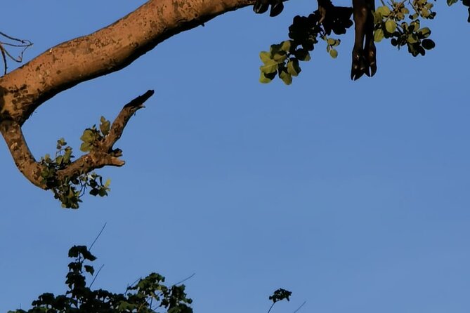 4-Day Lodge Private Tour to Tarangire, Serengeti and Ngorongoro - The guides and the safari vehicle