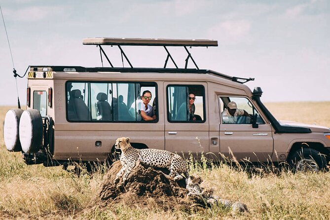 4 Day Ngorongoro Crater Tarangire and Serengeti National Park - Guides, driving, and the human side of the trip