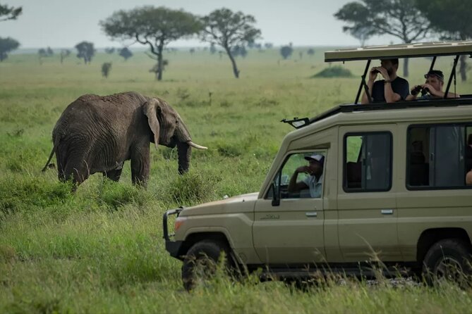 4 Day Ngorongoro Crater Tarangire and Serengeti National Park - Food, camping, and what to pack