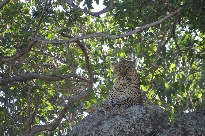 4-Day Safari from Arusha: Tarangire, Serengeti and Ngorongoro - Why this four-day route works