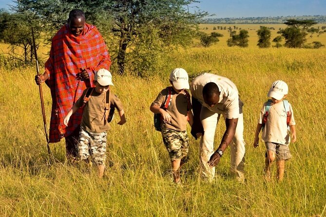 4-Day Safari to Tarangire ,Serengeti and Ngorongoro crater from Arusha - Day four: sunrise and the wildlife basin of Ngorongoro
