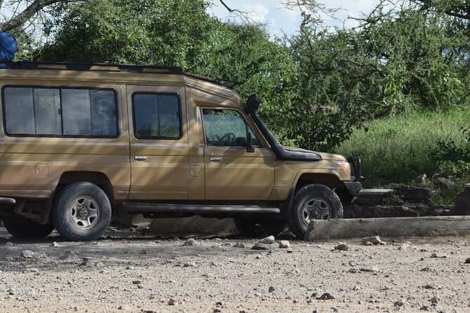 4-Day Safari to Tarangire ,Serengeti and Ngorongoro crater from Arusha - What the $1,515 price covers