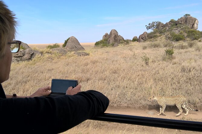 4-Day Safari to Tarangire, Serengeti and Ngorongoro from Arusha - Join a group - Day Two: The Long Road to the Serengeti