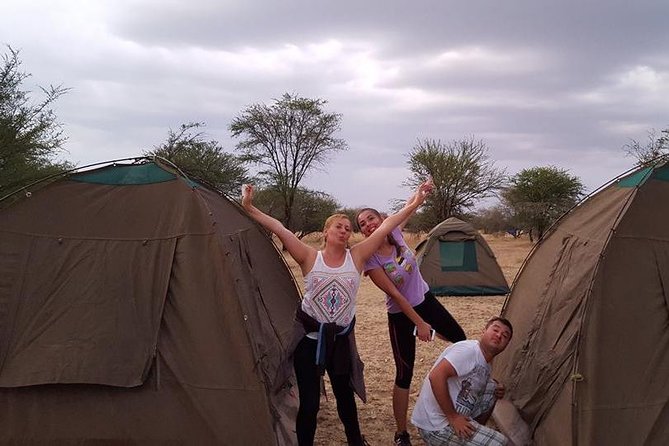 4 Days 3 Nights Tarangire Serengeti & Ngorongoro Lodge Safari - What the private vehicle adds