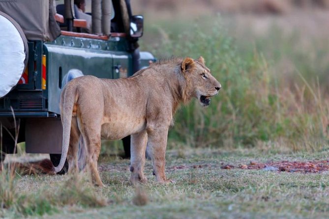 4 Days 3 Nights Tarangire Serengeti & Ngorongoro Lodge Safari - Meals, accommodation, and comfort