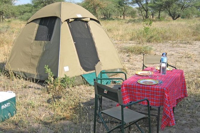 4 Days 3 Nights Tarangire Serengeti & Ngorongoro Lodge Safari - Is $2,080 good value?