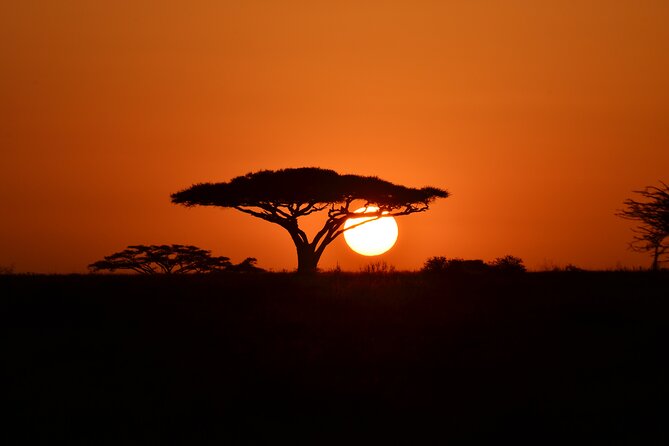 4 days adventure camping safari - The guide can make or break the days