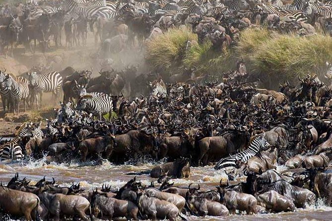 4-Days Adventure Camping Safari to Tarangire, Serengeti & Ngorongoro - Camping, food, and daily comfort