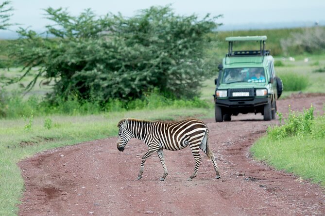 4 days adventure camping safari - Day 1: Tarangire brings elephants and a full day outside