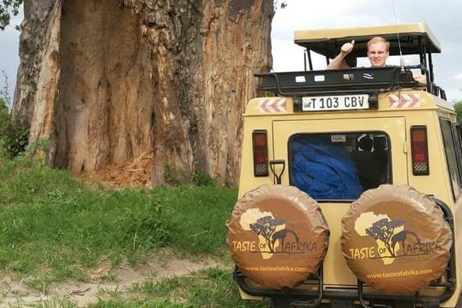 4 Days Affordable Tanzania Budget Safari - Day 1: Tarangire’s elephants and open country