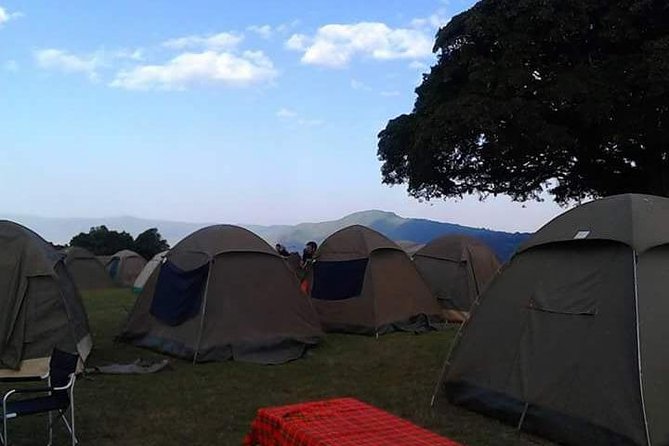 4 Days Affordable Tanzania Budget Safari - Day 2: From the highlands toward the Serengeti