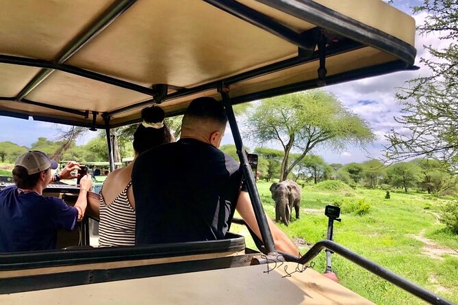 4 days Awesome Luxury safari Tarangire Serengeti & Ngorongoro - What the private setup really changes