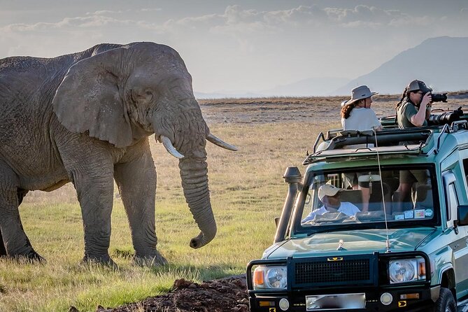 4 days Awesome Luxury safari Tarangire Serengeti & Ngorongoro - Day 1: Tarangire’s elephants and baobab country