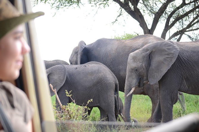 4 days Best experience Kilimanjaro Hike, Serengeti &Ngorongoro - Why this four-day route works