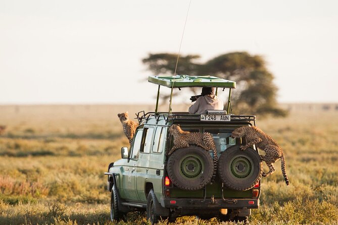 4 Days Experience big five in Tarangire, Serengeti & Ngorongoro Safari - What the $1,280 price covers