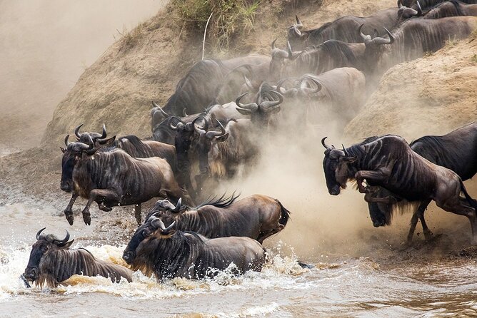 4 Days Experience big five in Tarangire, Serengeti & Ngorongoro Safari - How strong are the Big Five chances?